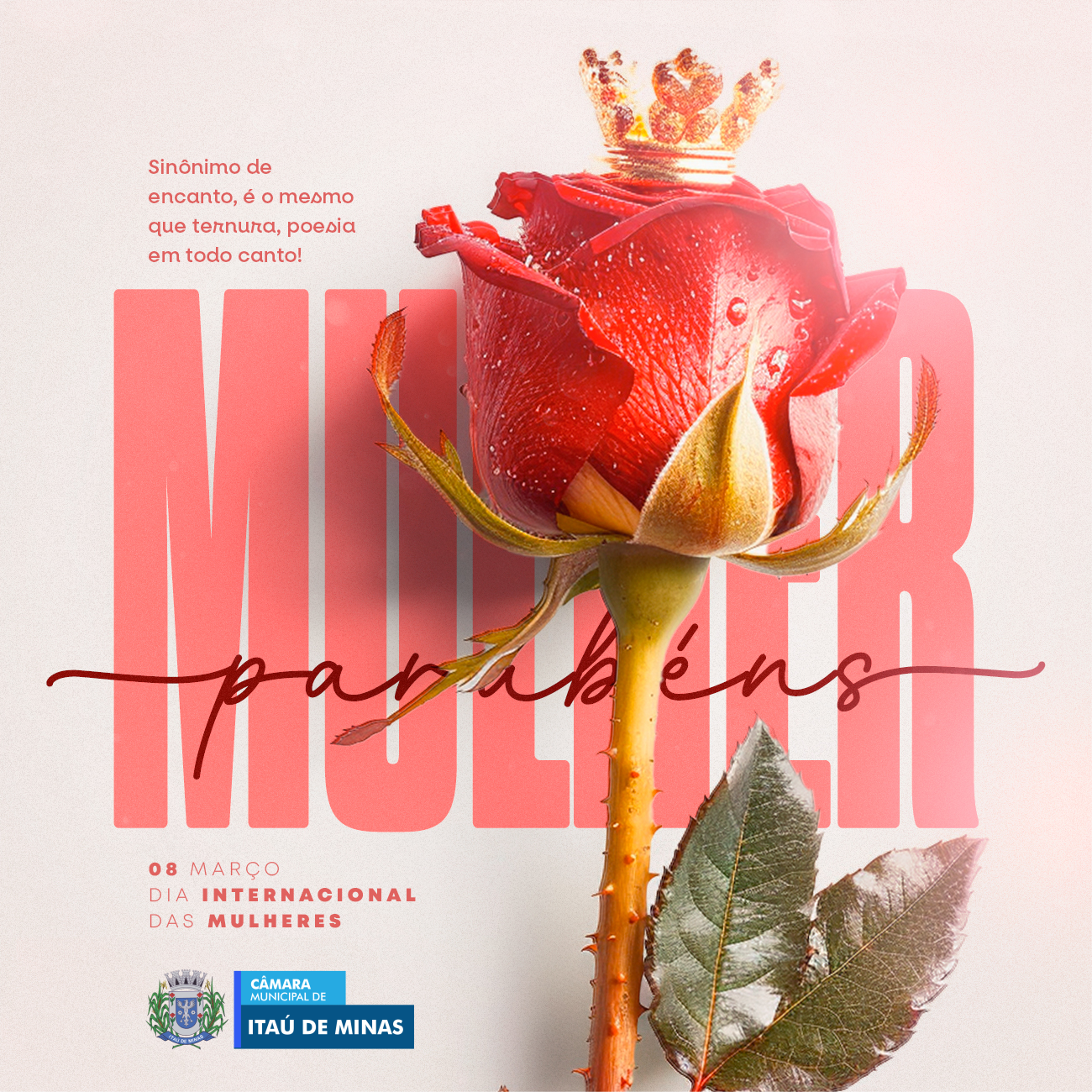 Dia Internacional da Mulher