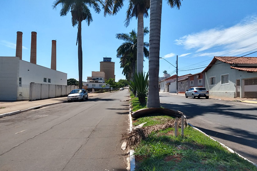 VEREADOR DENÃO QUER A LIMPEZA DE AVENIDAS