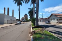 VEREADOR DENÃO QUER A LIMPEZA DE AVENIDAS